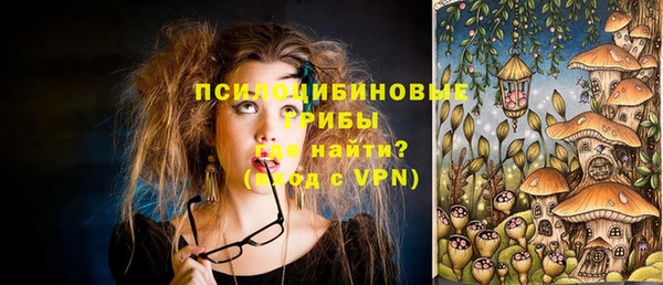 ГАЛЛЮЦИНОГЕННЫЕ ГРИБЫ Медвежьегорск