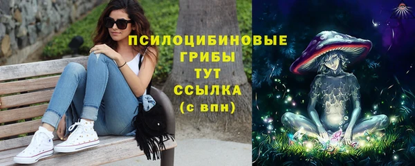 ГАЛЛЮЦИНОГЕННЫЕ ГРИБЫ Медвежьегорск