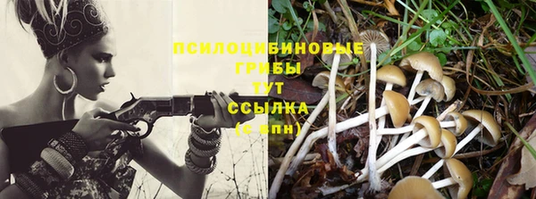 мескалин Мегион