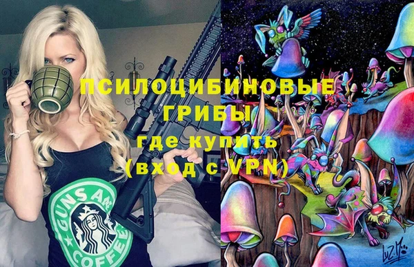 ГАЛЛЮЦИНОГЕННЫЕ ГРИБЫ Медвежьегорск