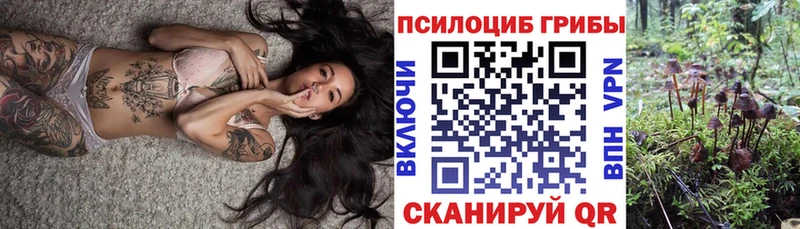 Галлюциногенные грибы Psilocybe  Калуга 