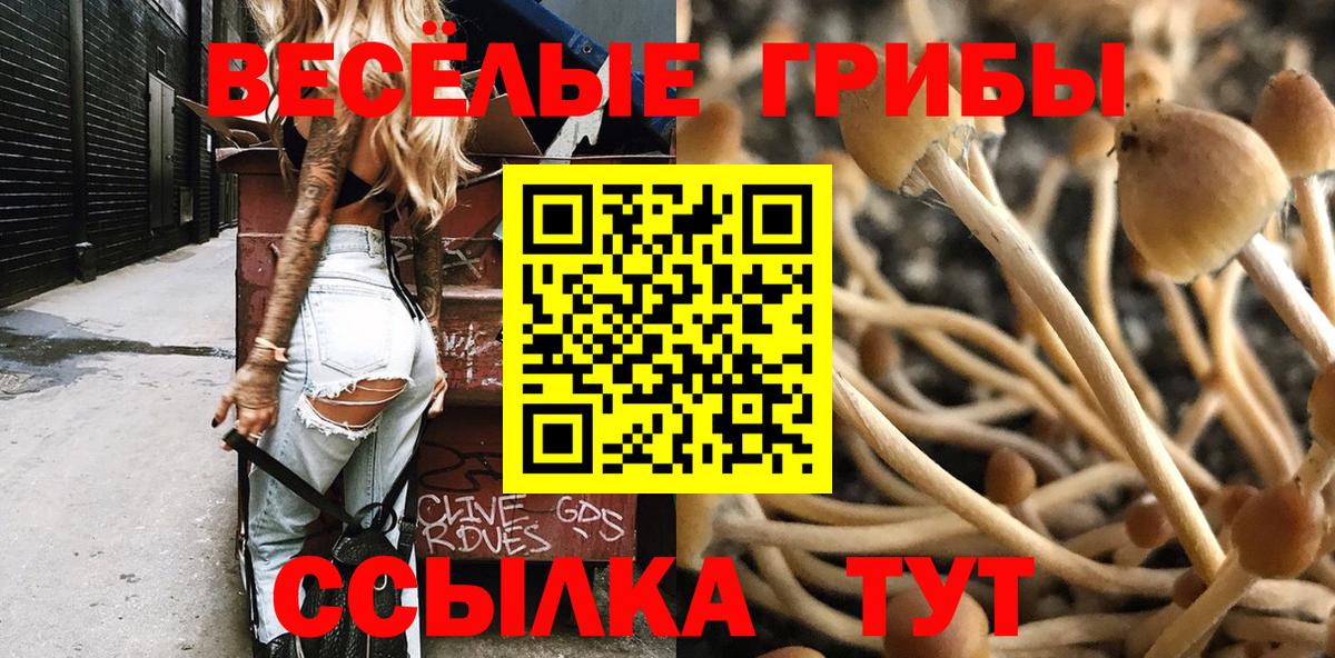 Псилоцибиновые грибы мухоморы  Вход с VPN  Псилоцибиновые грибы прущие грибы  Калуга 