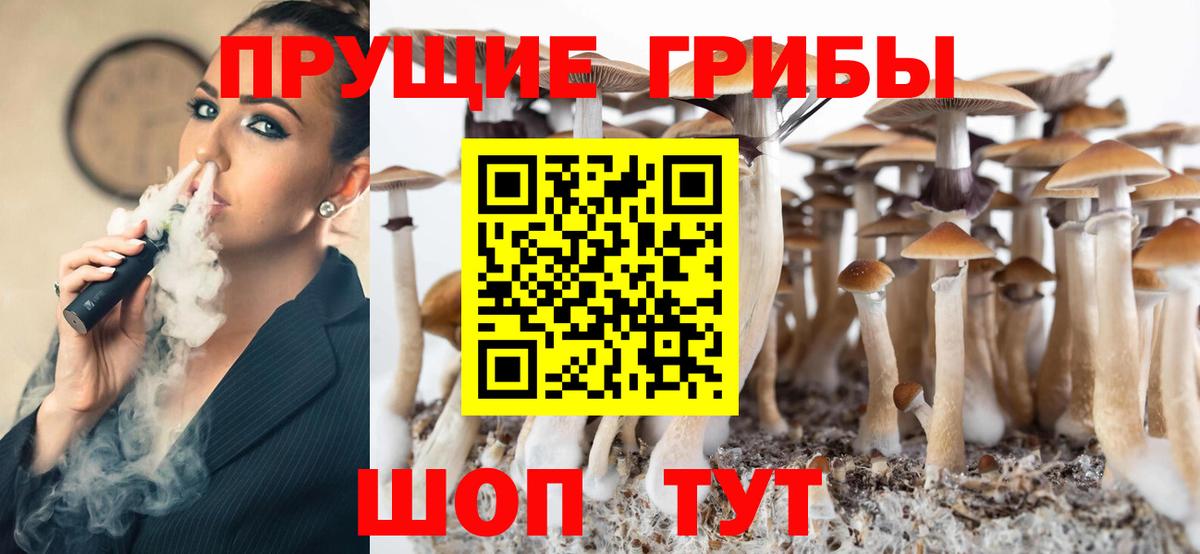 Псилоцибиновые грибы Psilocybe Калуга